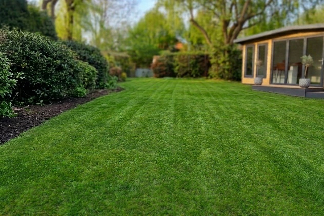 Best Drought-Tolerant Grass Seed for UK Lawns